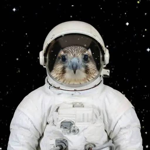 binancesuperman's tweet photo. okay so this rocket called falcon9 will crash in about 1 hour and theres a coin being hostage by a guy with 8%

lets send it this will go viral https://t.co/R33CeEzTqS