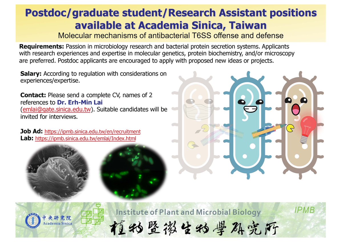 erhminlai's tweet photo. Our lab is recruiting people at multiple levels: postdoc, graduate student, and RA @IPMBSinica #Taiwan to investigate the evolution and molecular mechanisms of #Agrobacteria #T6SS antibacterial weapon. Check out the job ad and the lab website! Please apply or RT https://t.co/dYOVIdkXR2