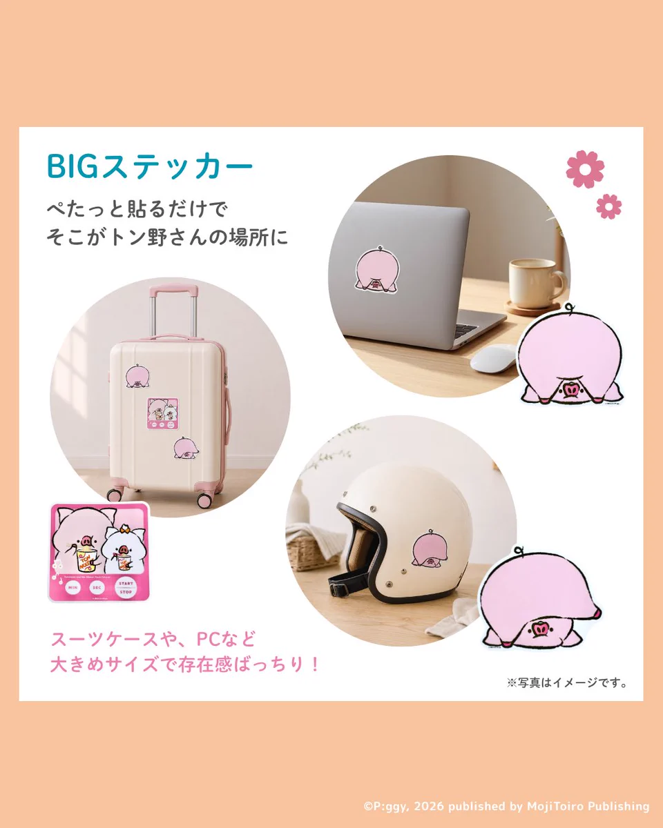 まじめにヤバシティ トントン グッズセット TOUR B X/XS マインド