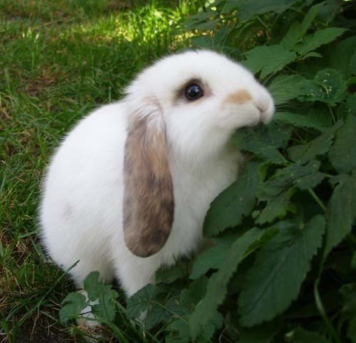 bemafrenn's tweet photo. learning how to draw so i can make scat art to jerk off to #scatTWT #pooptwt #nsfwtwtًً https://t.co/h12CLUqHFb
