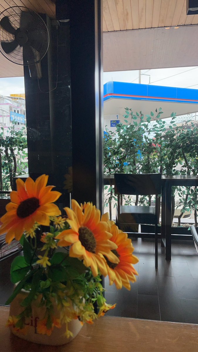 Pph8qw's tweet photo. ✅mp365365
แก้อาการ คอบ่าไหล่ ไทย ออย🥰

#นครสวรรค์ 
 #นวด��ครสวรรค์ https://t.co/X0RlV5f5Ev
