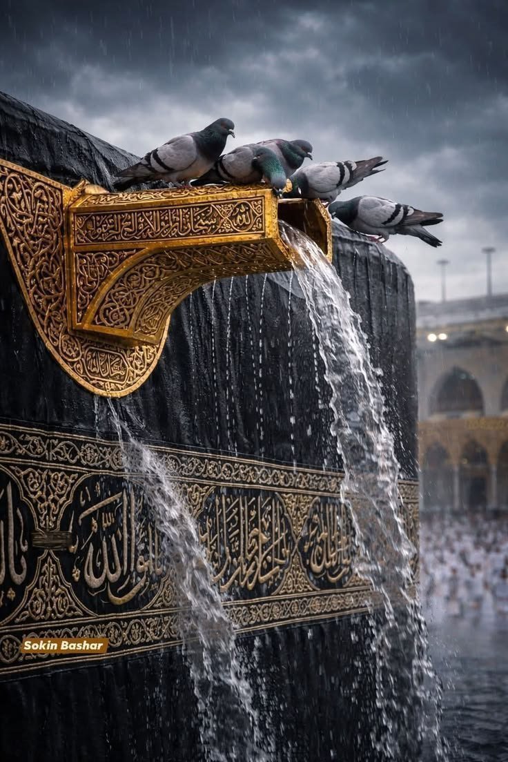 Faithforwardpk's tweet photo. Allah

Allah

Allah

Allah

Allah

Allah

Allah

Allah

Allah

Allah

Allah

Allah

Allah

Allah

Allah

Allah

Allah

Allah

Allah

Allah

Allah

Allah

Allah

Allah

Allah

Allah

Allah

Allah

Allah

Allah

Allah

Allah

Allah

Allah

Allah

Allah

Allah

Allah

Allah

Allah https://t.co/UcYYEFui7Q