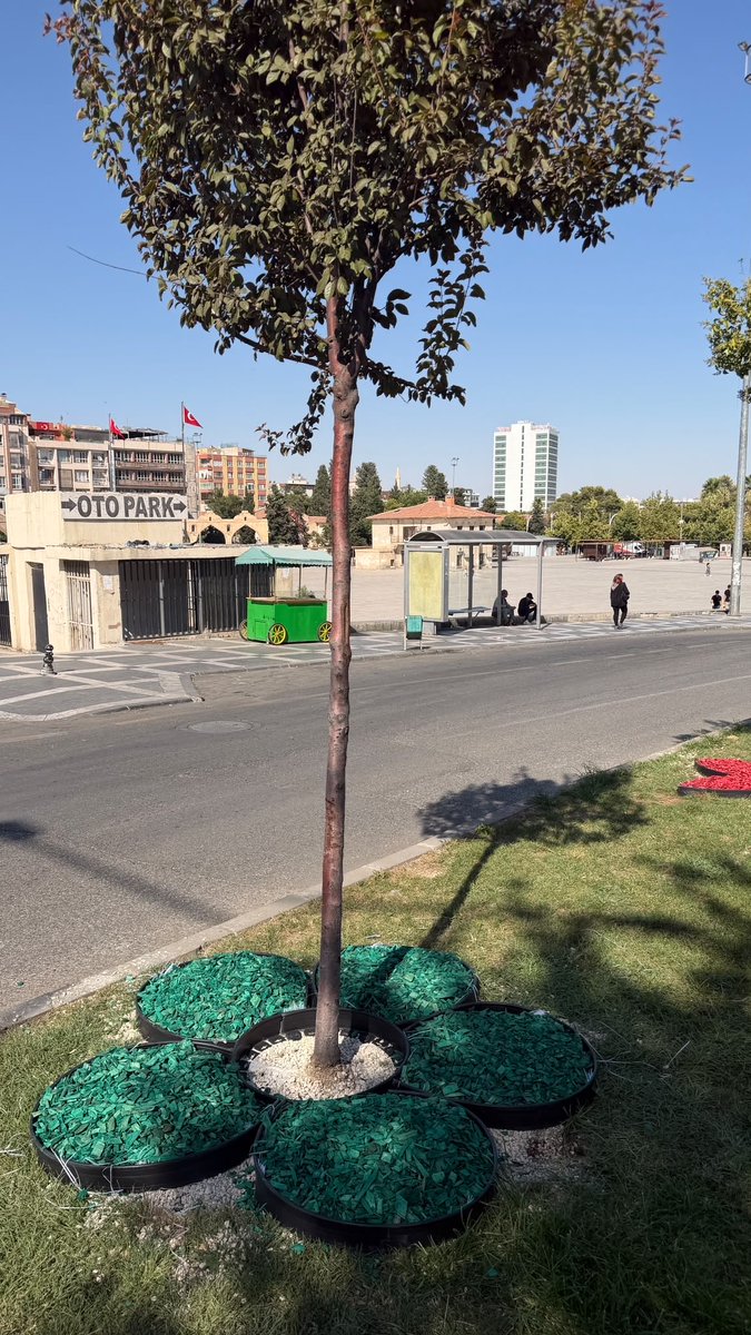 SbbPark's tweet photo. 📍Haliliye İlçesi❤️

Park ve Bahçeler Dairesi Başkanlığına bağlı ekiplerimiz;👷🚧👷

Tüm alanlarımızda peyzaj çalışmalarını hız kesmeden sürdürmektedir.🌸

#YeşilŞehirŞanlıurfa 

@sanliurfabld 
@MithatCanKutluc 
@halilaldeniz_ 
@sukrukaracads 
@mesuthicri 
@musadokuz_ https://t.co/Rssh1b3PgS