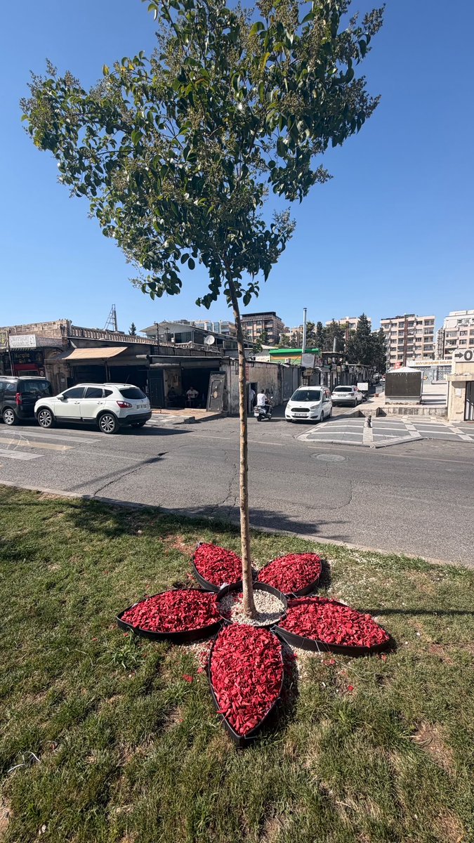 SbbPark's tweet photo. 📍Haliliye İlçesi❤️

Park ve Bahçeler Dairesi Başkanlığına bağlı ekiplerimiz;👷🚧👷

Tüm alanlarımızda peyzaj çalışmalarını hız kesmeden sürdürmektedir.🌸

#YeşilŞehirŞanlıurfa 

@sanliurfabld 
@MithatCanKutluc 
@halilaldeniz_ 
@sukrukaracads 
@mesuthicri 
@musadokuz_ https://t.co/Rssh1b3PgS