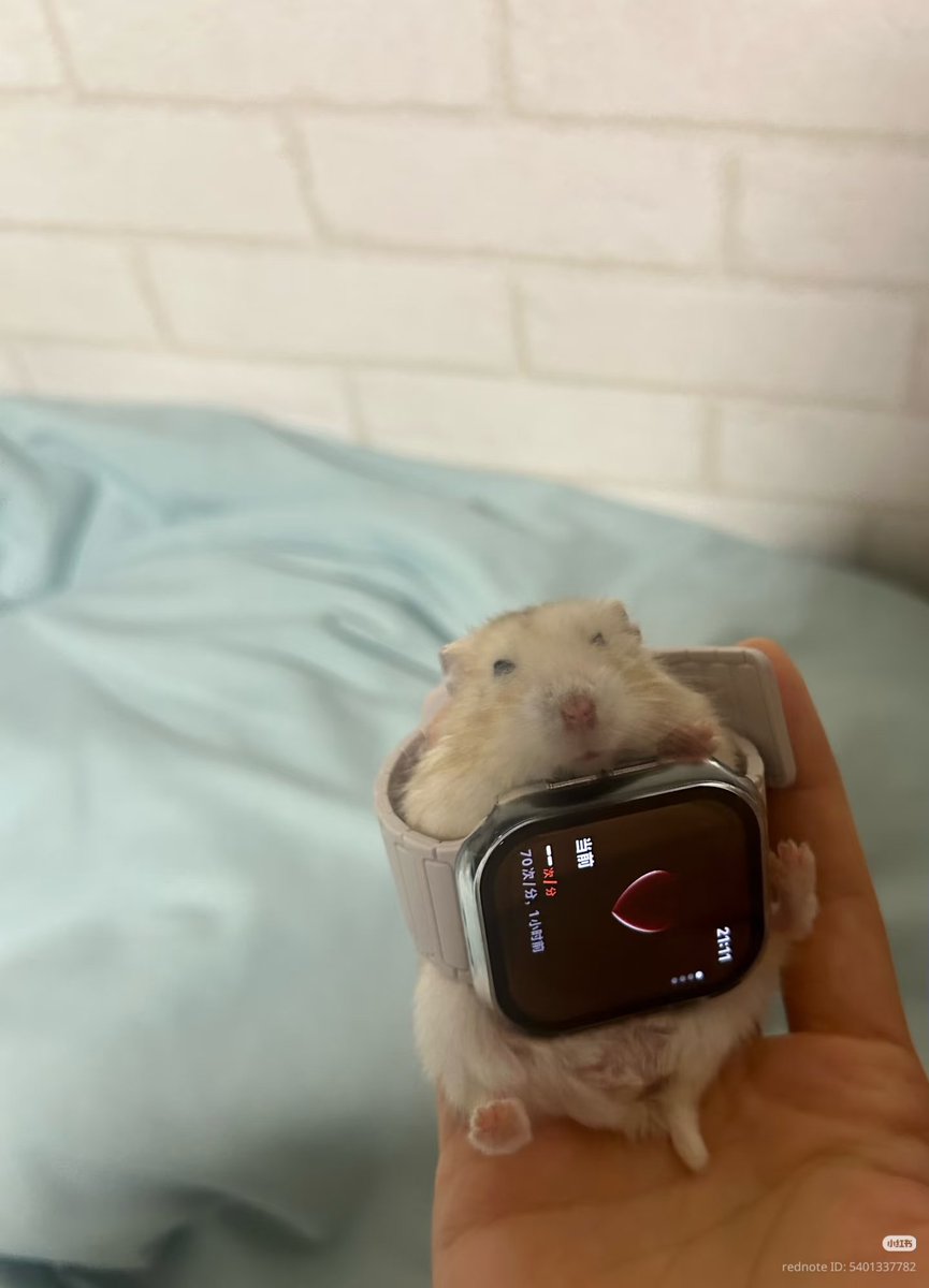 TweetsOfHamster's tweet photo. My heart rate won't show up https://t.co/TGizradnj5