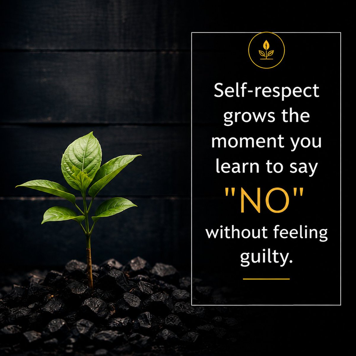 deepseeker12's tweet photo. Self-respect grows the moment you learn to say "NO" without feeling guilty.. https://t.co/xqvqZq8NSC