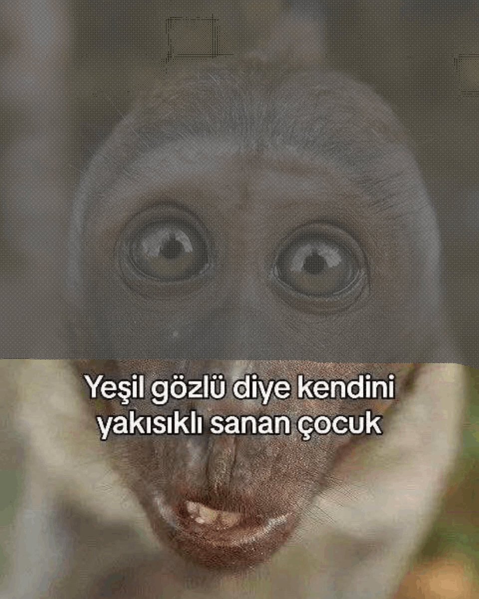 GamzeGulhan's tweet photo. Şuşu'm @sukodegilsusu bak kimin fotoğrafını buldum...😂 Murat @mrtyslmrt fotoğrafın sayfaya düşmüş...😂 Sen de eksik kalma kankana destek lazım olur @metin10711453 😂 https://t.co/keX2dCDEN3