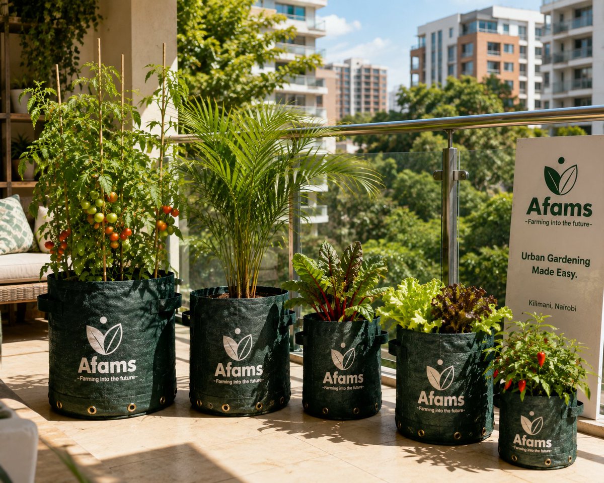 afams_group's tweet photo. We're building a growing community, not just a shop. 
Follow our verified ✅ pages to be part of it. 
Order at https://t.co/kHaNsGBqYh
#Afams #Growbags #farmbags #ProSoil #homegardening https://t.co/PDoUZ22Siw