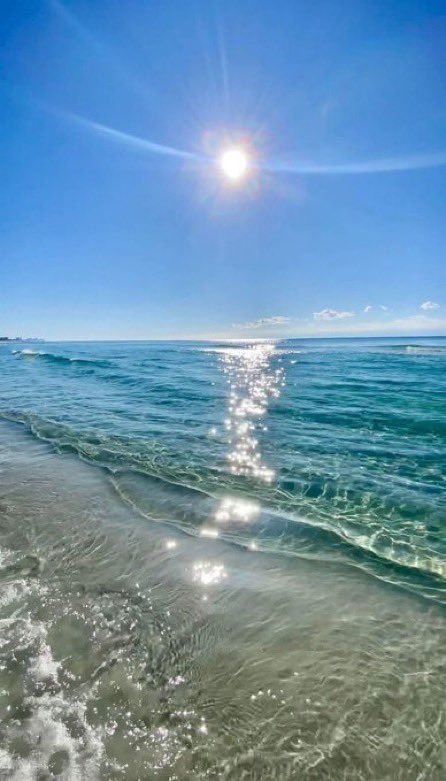 _Naturaee's tweet photo. A little piece of peace. https://t.co/W74Ez2ogbb
