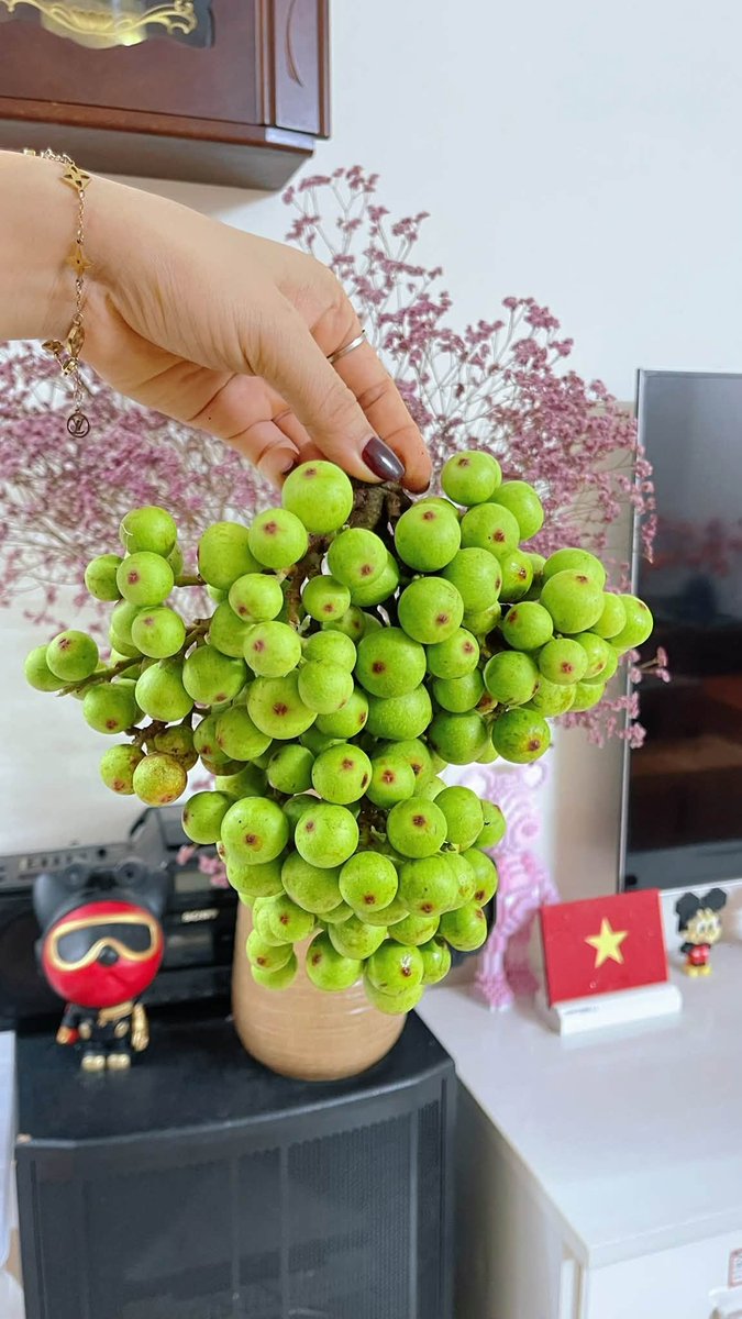 hieuofficial93's tweet photo. Chúc các bạn một buổi sáng thật nhiều năng lượng, tinh thần vui vẻ và mọi điều tốt đẹp sẽ đến trong hôm nay. https://t.co/YA111iS7q0