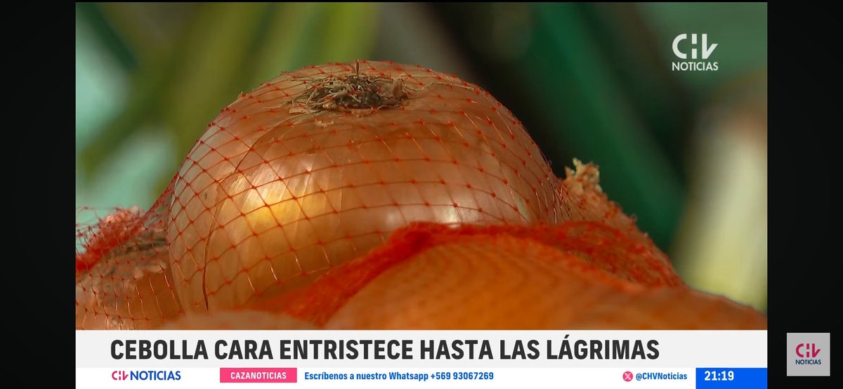 luvtoniki's tweet photo. CHV noticias sigan así KWJEKWKEKWKDJ https://t.co/eomyuCSlPS