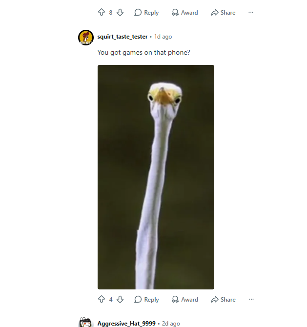PupperFlips's tweet photo. Holy shit this animal actually has THE LONGEST NECK I'VE EVER SEEN

It's going viral on reddit and it's an a picture of this bird Egret with a LONGGGGGGGGG neck

People are making memes in the comments too, they are even relating it to Frank Ocean the turtle

https://t.co/ovvN26HcrY