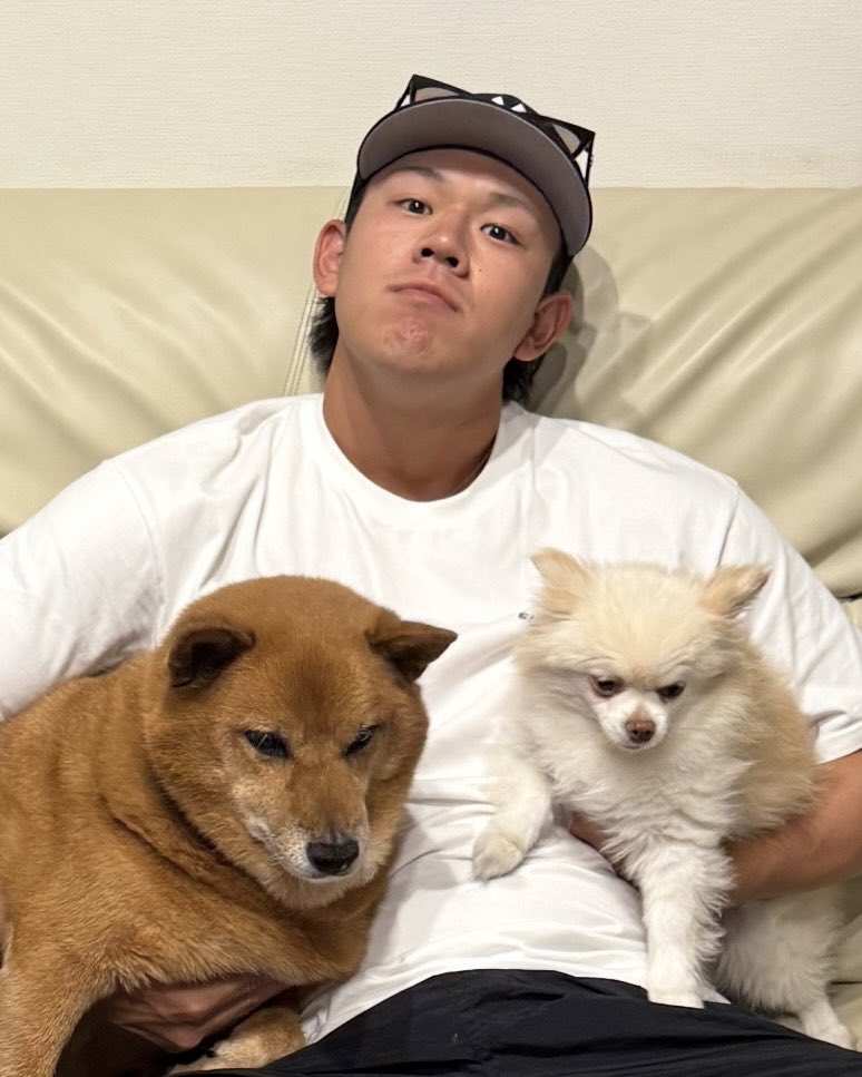 HAWKS_official's tweet photo. ＼🐶今週末は #Pet博 🐈‍⬛／

🐶🐶🐶🐶
もふもふなお写真が届きました🤳
選手のかわいい家族たちをご紹介💛

Pet博当日はイベント盛りだくさん！
当日券も販売します♫
https://t.co/8PATY4ukWb

#みずほPayPayドーム https://t.co/3Ek82t3hvY