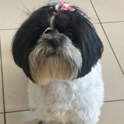 duducarent3's tweet photo. #NovaFotoDePerfil https://t.co/lYBSTnqxYG