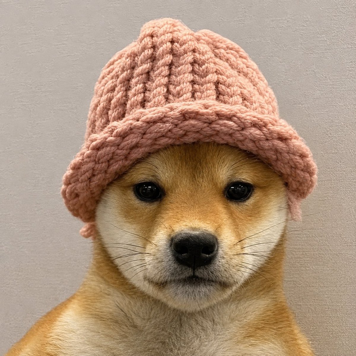 ardibags's tweet photo. So dogwifhat was a 4.8B+ memecoin that came from a memecoin

But the #1 hat meme on earth, dogwifhat.

Is supposed to be 150K? 

Yeah that price difference won’t last forever

Enjoy 

lol, hat stays on 

ESBCnCXtEZDmX8QnHU6qMZXd9mvjSAZVoYaLKKADBAGS

$BTH https://t.co/frXONnKQCE