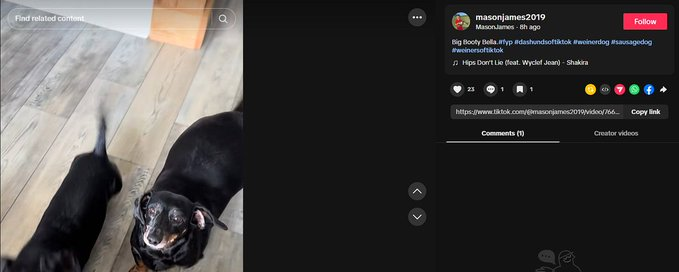 dv44444444's tweet photo. Found this super viral funny animal narrative.

Bella the dog has the Biggest Booty EVER!

750k Likes and 4 Million Views in 3 days,

I genuinely believe this can send.

https://t.co/sMtmIc25Q8

Name in the image at the bottom and also on this video: 

https://t.co/2xkZCNaYJj https://t.co/ouEdUCO4nl