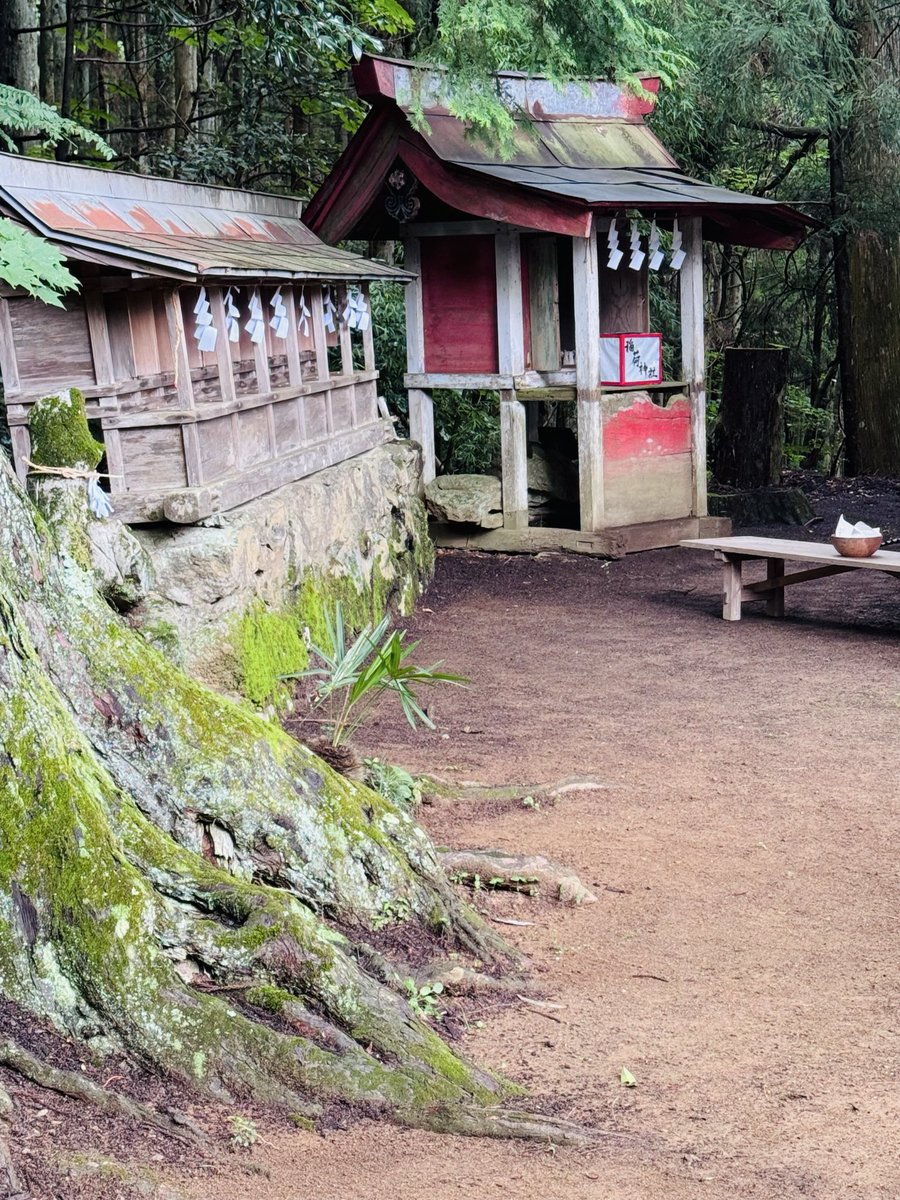 hime4693's tweet photo. 初めて十二社神社の祭典に参加させて頂きました

今までは映像でしか拝見していませんでしたが、実際に行ってみるとすごく厳かでより一層歴史の深さを感じることができました

初めて伺ったにもかかわらず、地元のお父さん、お母さんたちはとても温かく、来年もまた来てねと言ってくださいました😊 https://t.co/p7HTUP7pmH