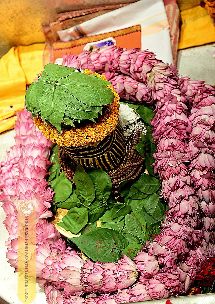 ShriVishwanath's tweet photo. श्री काशी विश्वनाथ जी की मंगला आरती I
#kashivishwanath #kashi #sanatandharma #banarasisilk https://t.co/onPnlhsXQV
