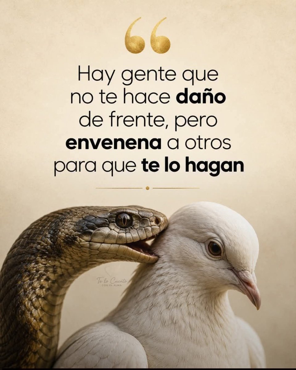 ovidiolopez81's tweet photo. Si señor #martes https://t.co/vaRvJiXmg3