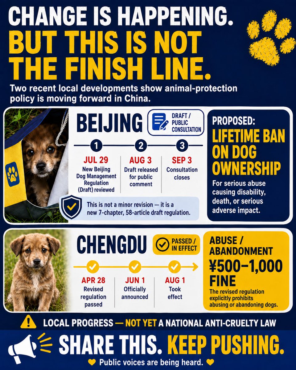 Aincident_watch's tweet photo. Something is moving in China’s animal-protection policy.

Beijing is considering a lifetime dog-ownership ban for the most serious abuse.
Chengdu’s new rules are already in effect, with fines for abuse or abandonment.

These are local changes — not a national anti-cruelty law. Not yet.

But one question matters now:

Are we watching isolated local reforms… or the beginning of something bigger?

Share this. Keep pushing. 🐾