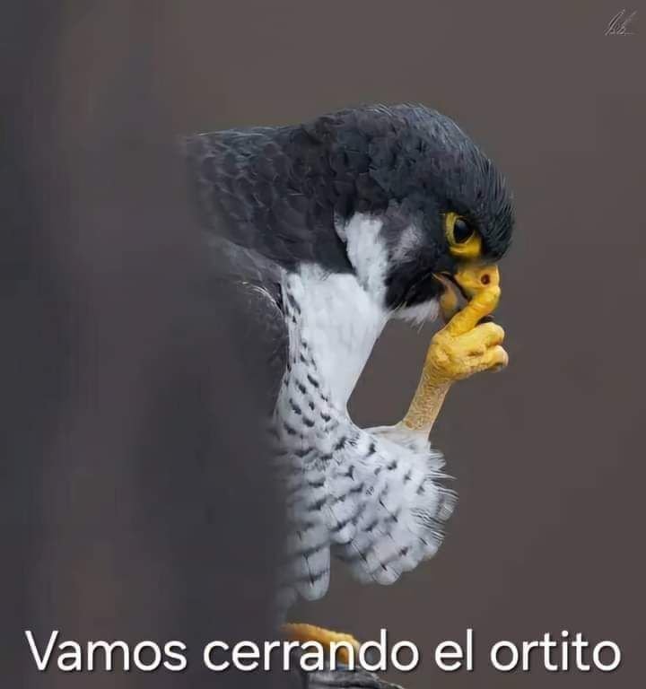 Tomyezp's tweet photo. @Esbicruz_23 https://t.co/QF1axVcd7A