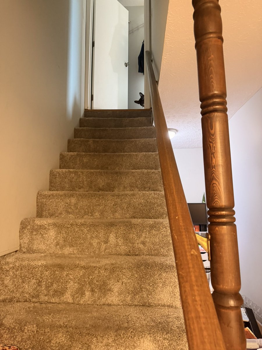 grosstchen's tweet photo. Pudge’s new update is weird https://t.co/83na05E8M6