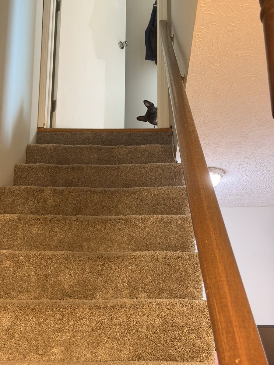 grosstchen's tweet photo. Pudge’s new update is weird https://t.co/83na05E8M6