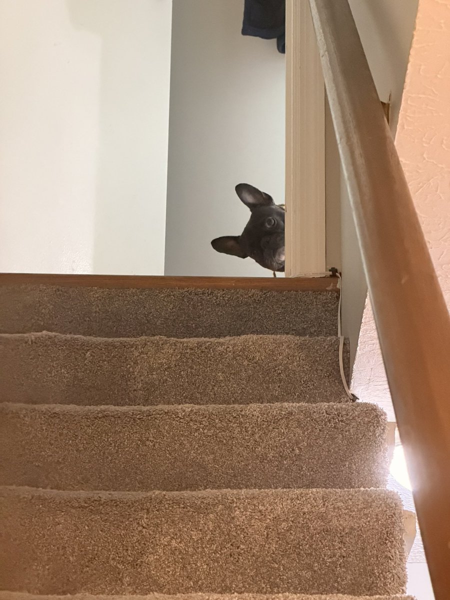 grosstchen's tweet photo. Pudge’s new update is weird https://t.co/83na05E8M6