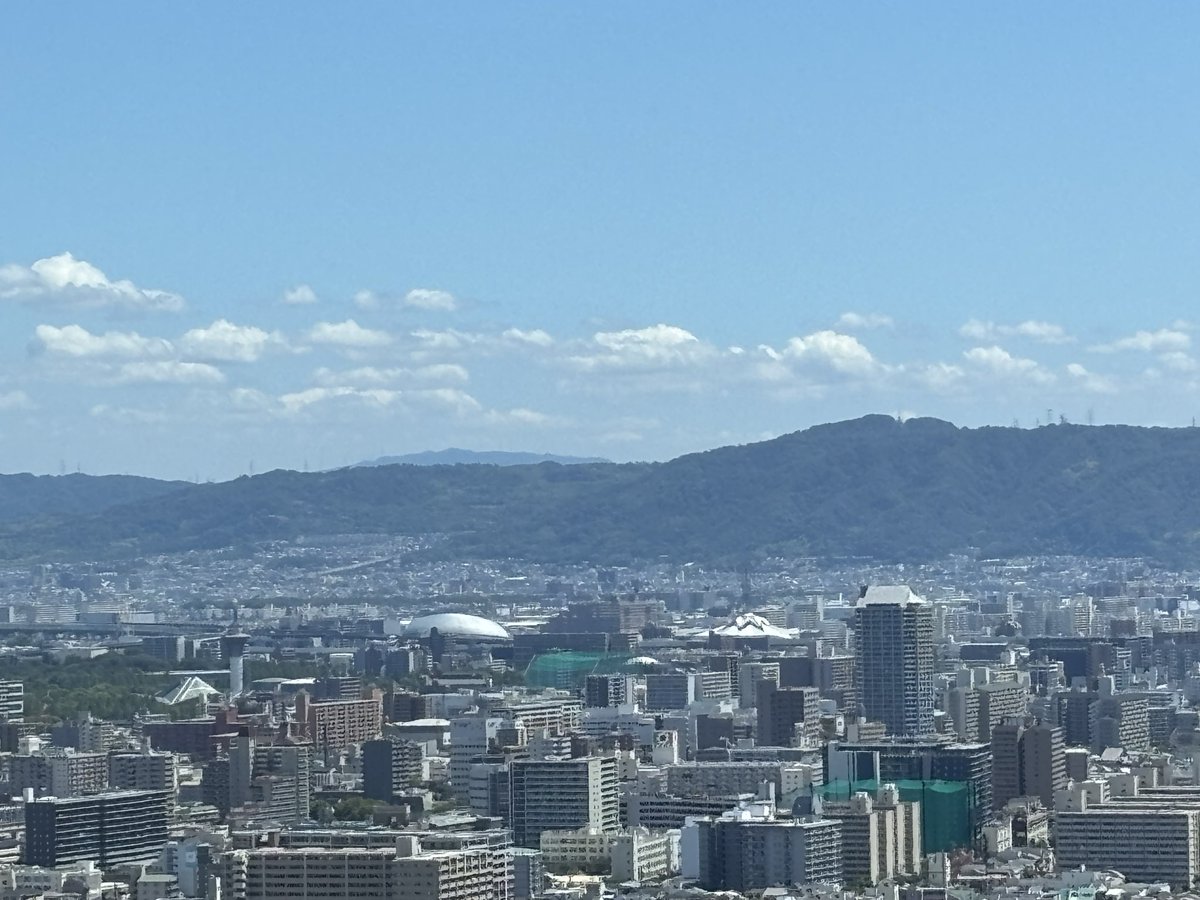 wada_calcium's tweet photo. おはカルです🦴＃ワダカルシウム製薬 です！！
今日の大阪は快晴！🌞今朝は少し涼しい朝でしたが、日中は気温がグングン上昇中なのでこまめな水分補給をなさってくださいね🥤

写真は会社から見える、
大阪鶴見花き地方卸売市場です！(右側の建物)
近くで見るとお花のような独特の建物なんです🌸

週の真ん中水曜日　一息ついて、本日も頑張りましょう！
本日もよろしくお願いいたします！

＃カルシウム　＃水曜日