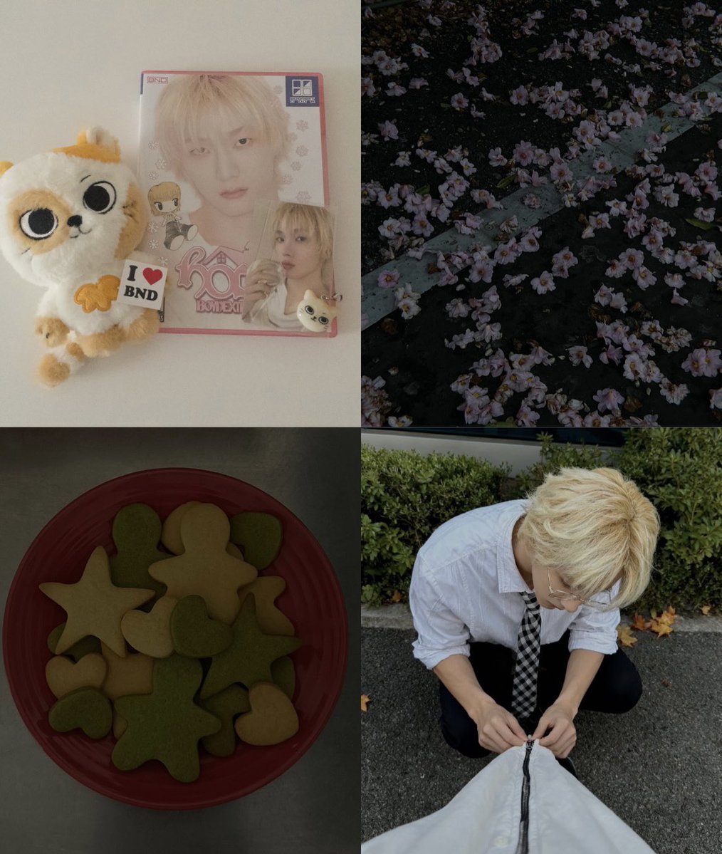 one_d4oo's tweet photo. お友達欲しいです🏠⭐︎

07｜sungho🐱｜+alt🪄

♡or ↻でお迎え行きます♪

#ONEDOORと繋がりたい
#BOYNEXTDOOR好きな人と繋がりたい
#ボネクド好きな人と繋がりたい https://t.co/WChSPeqjHY