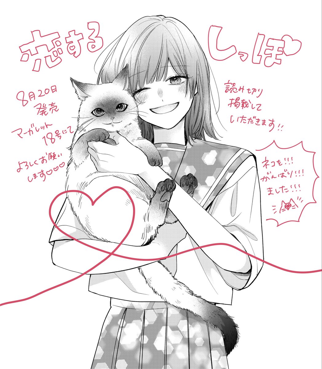 kyono_maco's tweet photo. 🐈お知らせ💘

読み切り32p
 #恋するしっぽ

次号マーガレットに掲載して頂きます！
動物作画がヘタで定評のある私ですが頑張りました💮

親友のネコを亡くした主人公の前に、
そのネコを名乗るイケメンが現れる話です。

 よろしくお願いいたします🐟 https://t.co/YcgrXwJ8GT