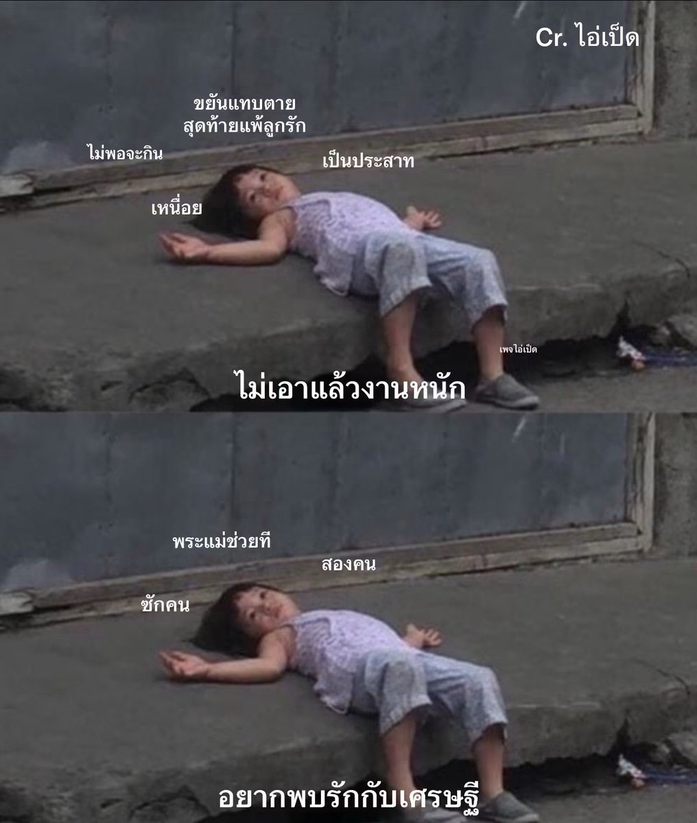 Momaycaramel's tweet photo. อันนี้จริงงงงงงง https://t.co/MfLjgiqV3e