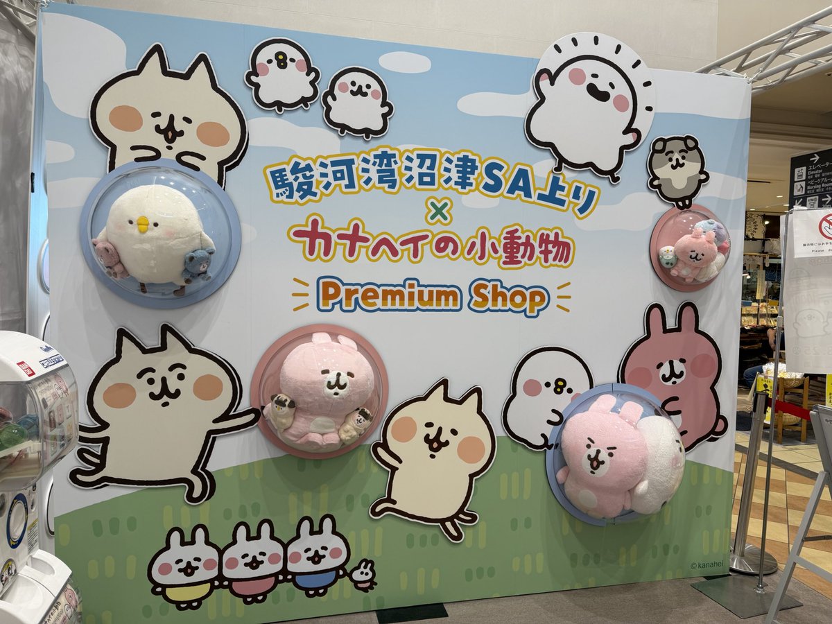 カナヘイの小動物 PremiumShop☁】 #駿河湾沼津SA 上りに #ピスケと