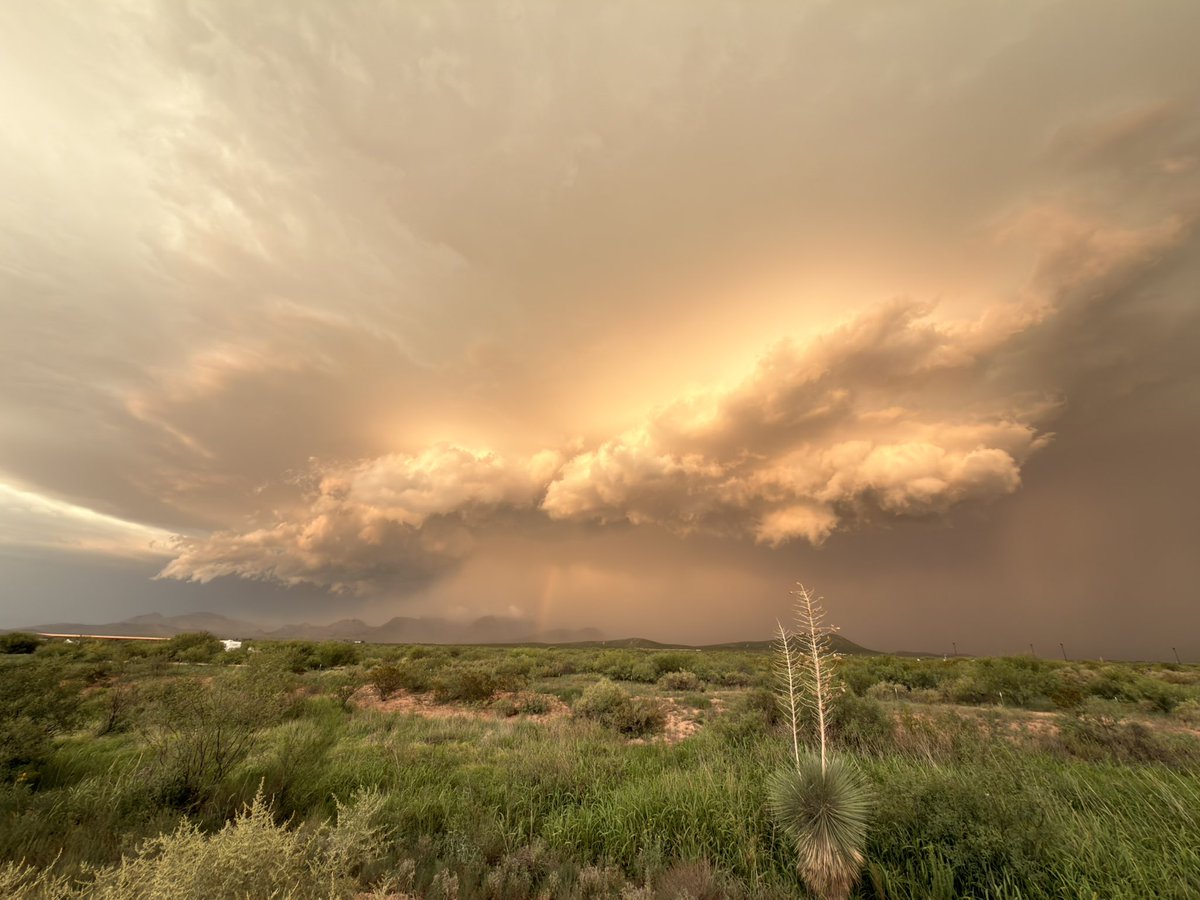 MikeOlbinski's tweet photo. This is a top five all time Arizona storm for me #azwx #douglas https://t.co/D5ZEtnAo6y