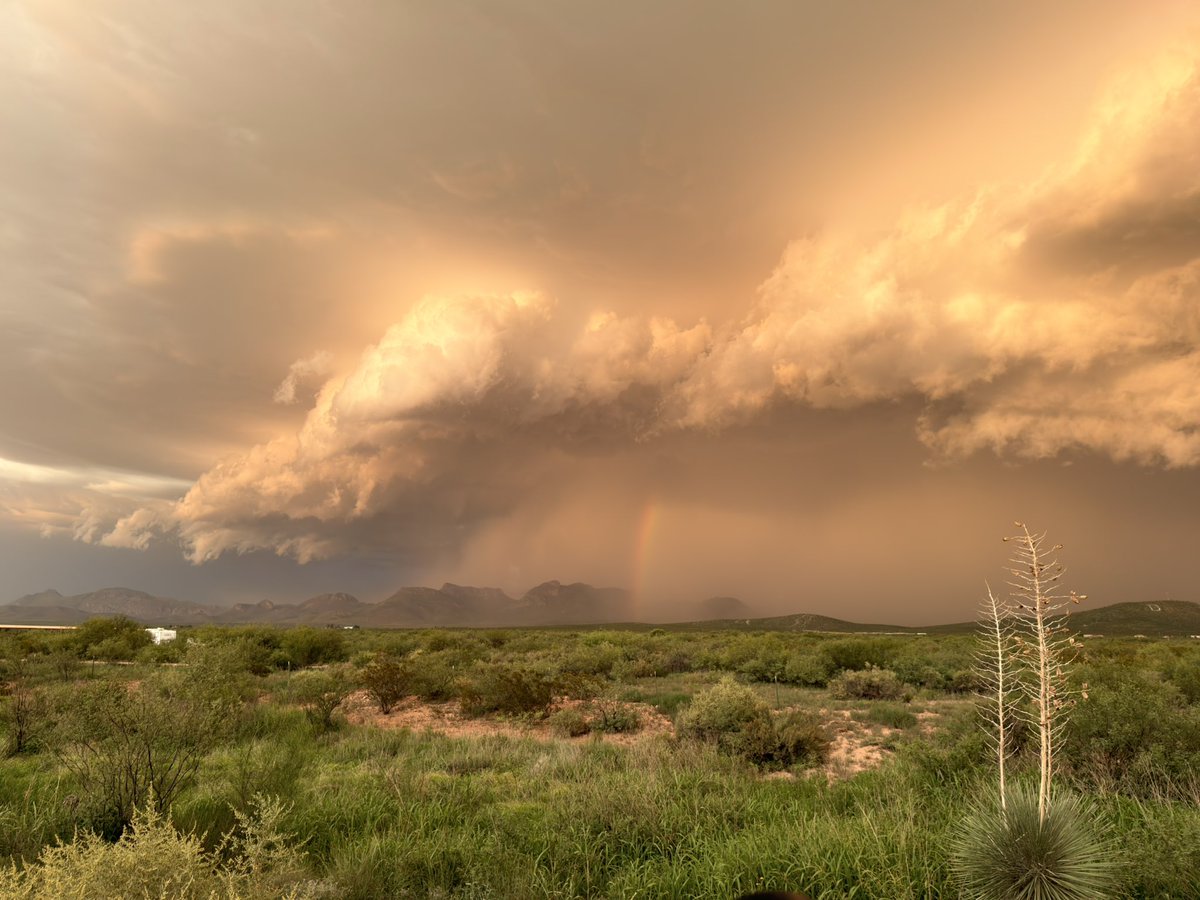 MikeOlbinski's tweet photo. This is a top five all time Arizona storm for me #azwx #douglas https://t.co/D5ZEtnAo6y