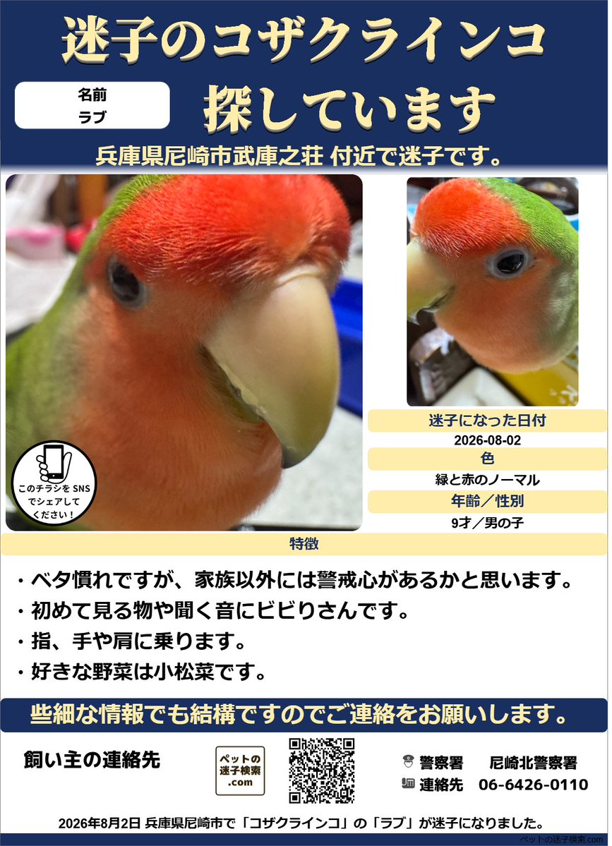 インコ様ご確認専用ページ インコ様ご確認専用ページ