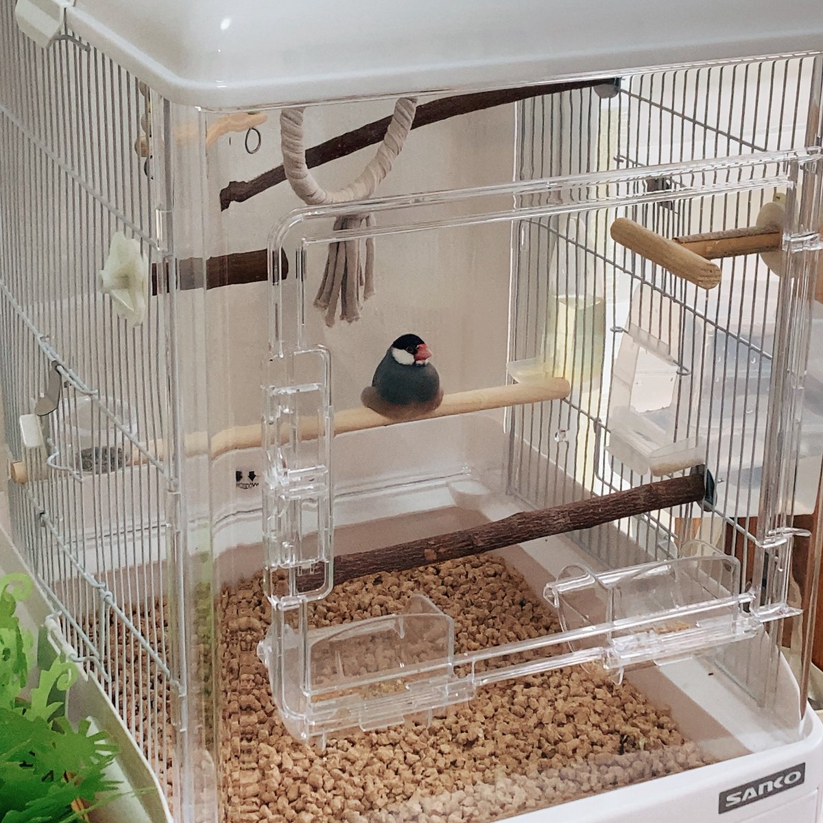 nebllse0121's tweet photo. クリアバード40を買う時はお気をつけください。あまりの大きさにポツン感がヤバいです😂 https://t.co/okJE16LXQD