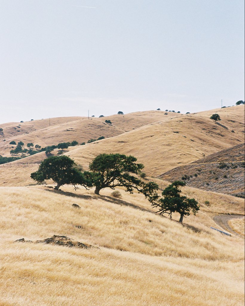 atuli97's tweet photo. Kodak Gold 400 https://t.co/xS0aR5y2bd