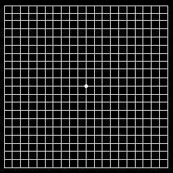 RestoreOptic's tweet photo. Why it matters: 🔬 This Amsler Grid tests for Macular Degeneration (AMD), which makes straight lines look wavy. Early detection saves vision!

⚠️ Educational only. Not medical advice. See an eye doctor if lines are wavy! https://t.co/Ykw4tGU0Jf