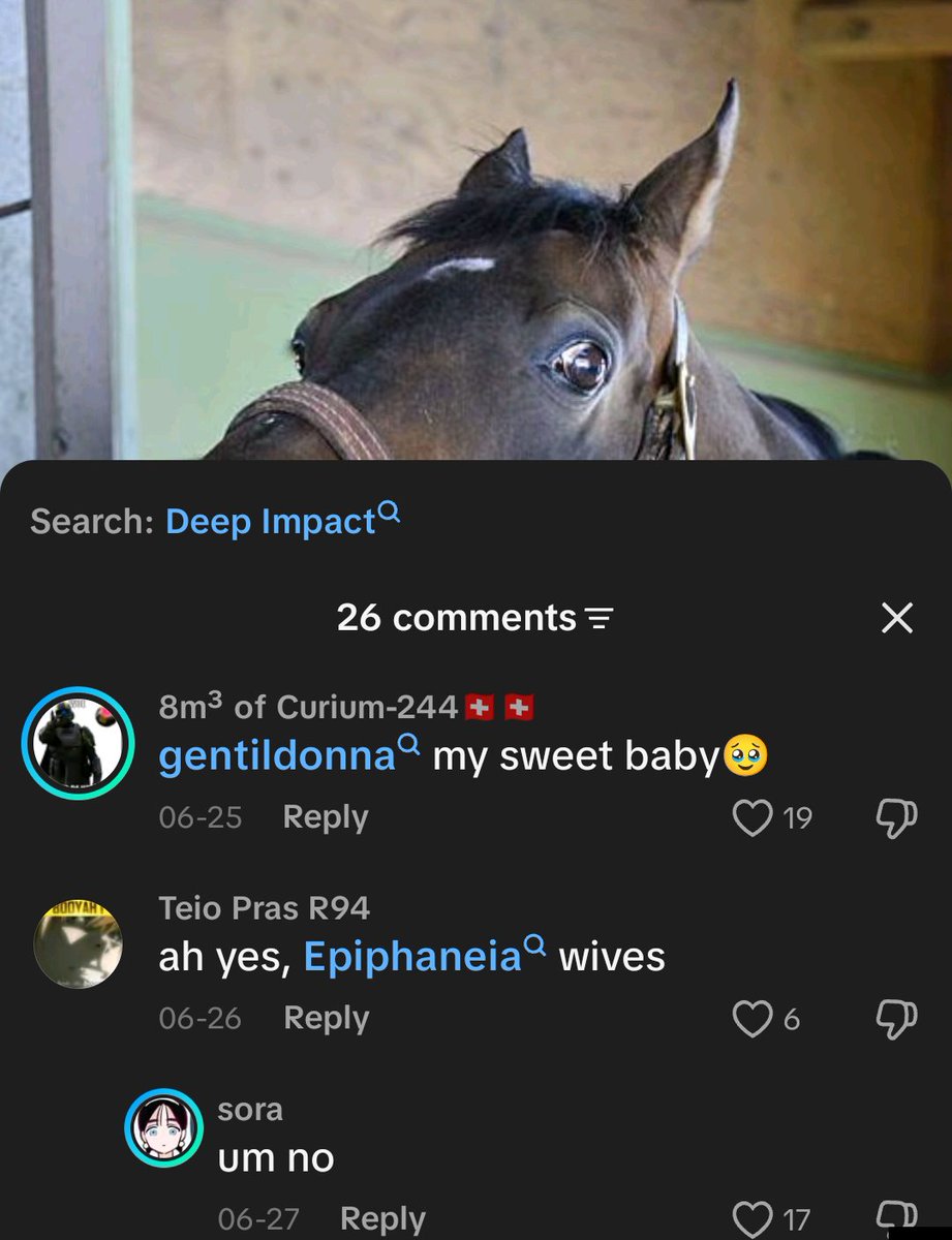 nunuwiish's tweet photo. People are so weird towards the mares https://t.co/F9QfGxvGUR