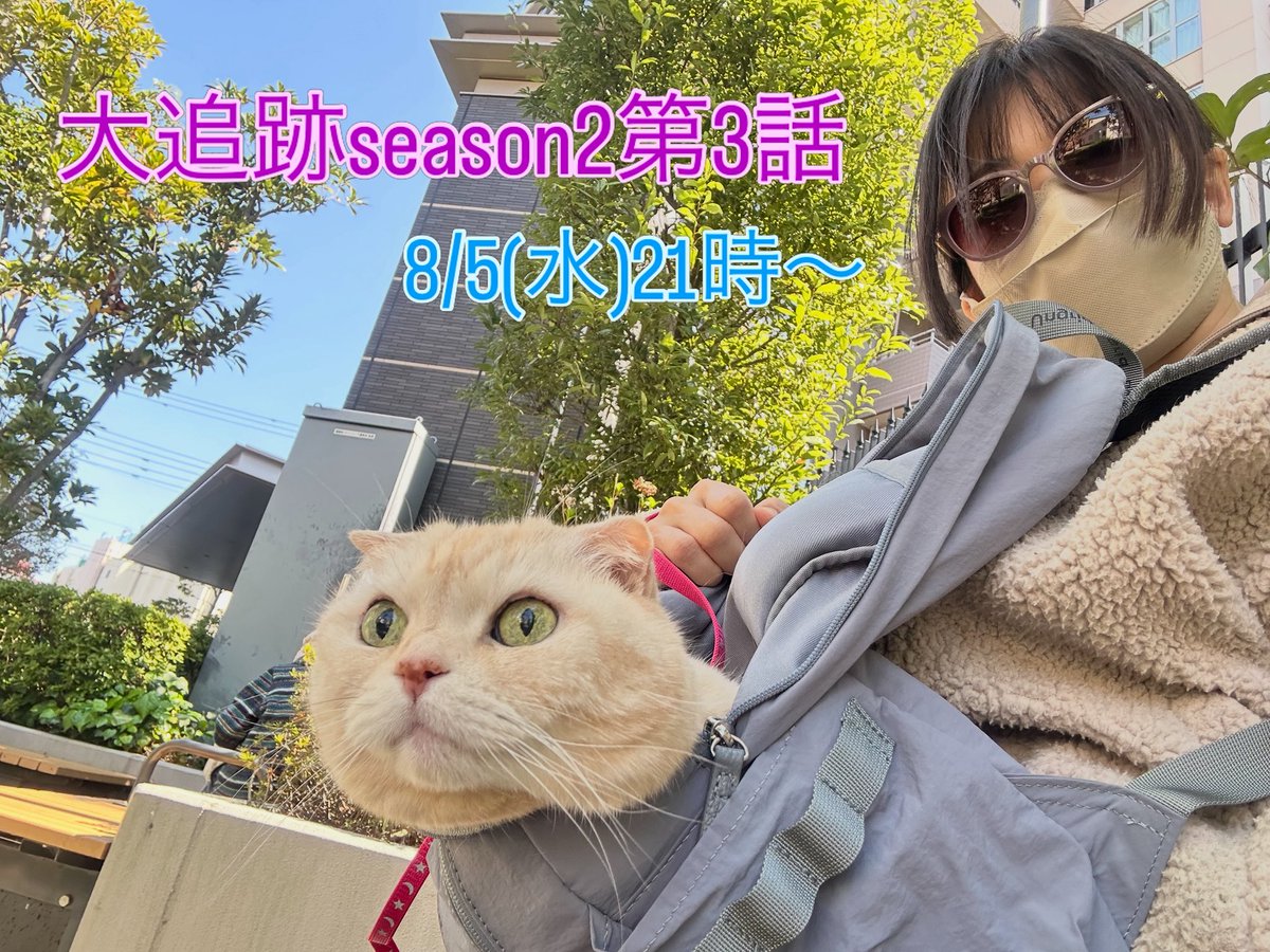 NyannyaYo's tweet photo. テレビ朝日8/5(水)21時放送
『#大追跡警視庁ssbc強行犯係 』
第3話に出演させて頂きました
猫を盗んだ犯人じゃありません🐈
是非ご覧下さい🧡
 #大追跡season2 #たかはしようこ https://t.co/1CWBbFsmpv
