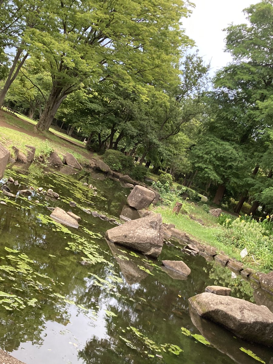misiasilver's tweet photo. 夏の晴間いくらか涼しく過ごせています𓇼𓆡𓆉 明日から暑さ戻ってくるようで熱中症にお気を付けてお過ごしくださいね

新作 シンデレラフィットの方に出会えましたら幸いです💕

◆9号17号純銀✤SV999手彫りオリジナルペアリングhttps://t.co/W8nTftEOdu @Creema_jp 
#ペアリング #silverring #純銀 https://t.co/rH194xtHPs