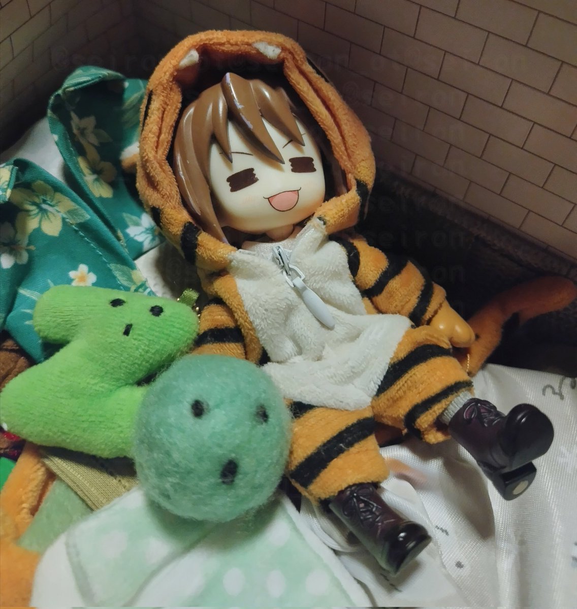 seiron_ot's tweet photo. 今朝の虎猫くん🟢
#まいにちとらねこくん https://t.co/IZpJB9BVYy