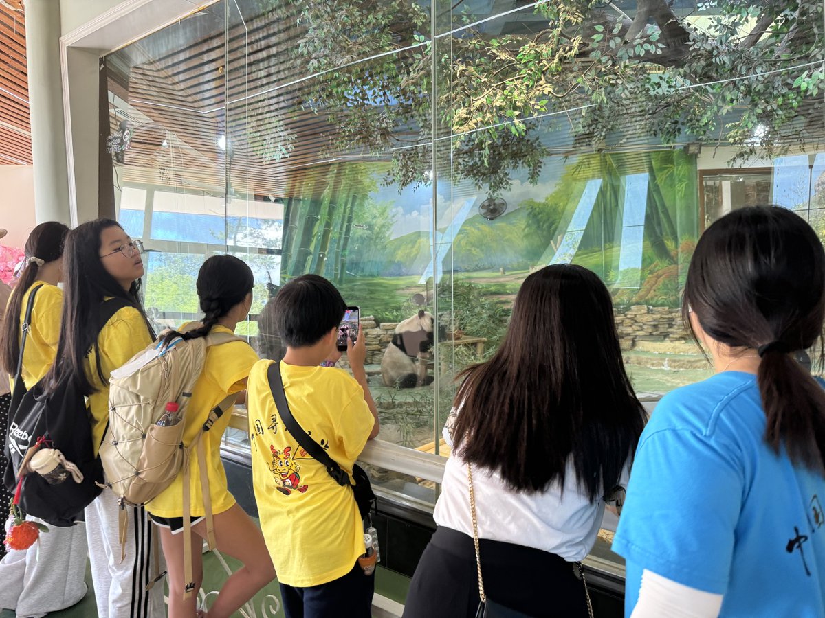 TaizhouVibe's tweet photo. Overseas Chinese youth explore Taizhou's Changyu Dongtian! ️ From ancient stone caves to cave concerts , and making panda treats 🥣. Connecting with heritage in Wenling. #Taizhou #China #OverseasChinese #CulturalHeritage https://t.co/QoTYA80MUL
