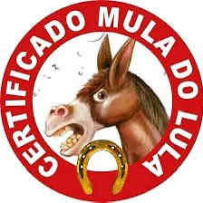 BiraExperince's tweet photo. @Gustavramski_ @FlavioBolsonaro Pois é,os ESQUERDOPATAS precisam ser mandados para Marte e serem estudados….
O L de LADRÃO e suas quadrilhas(luLALAU e seus 40 LADRÕES)assaltam os cofres públicos,porém o JUMENTIS vem falar de uma foto tirada!😂🤣😂🤣

Pois bem, ao invés de 🧠 os ESQUERDOPATAS têm 💩na cabeça! https://t.co/N4JCFsW1gO