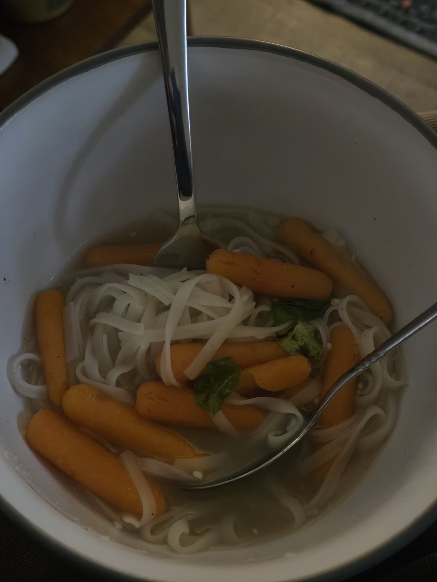 hayleys_wings's tweet photo. my omad ^_^

☆noodles with homemade veggie broth, mini carrots and fresh basil☆ https://t.co/KaDbQMw8AO