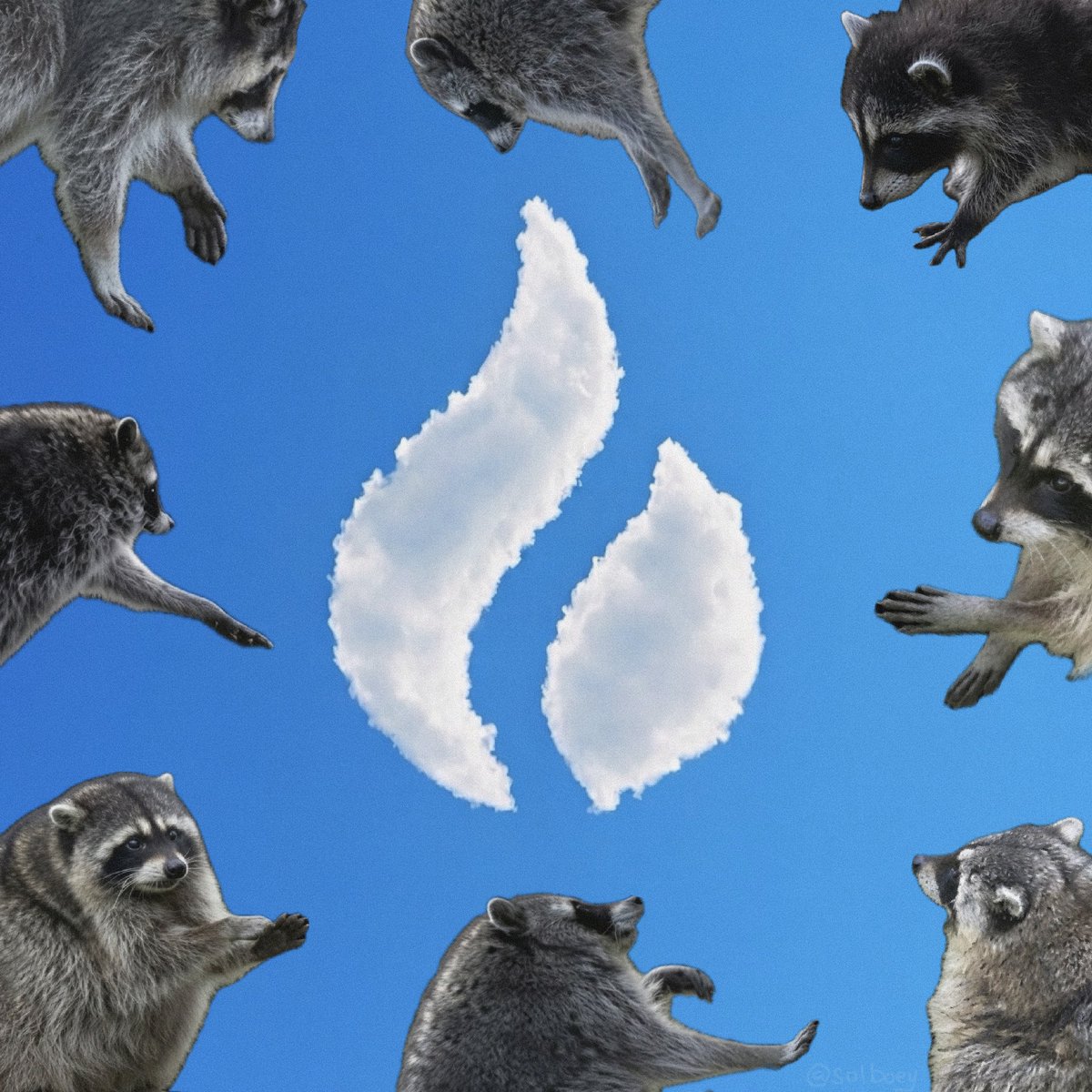 Solboey's tweet photo. @HTX_Global Gm. Jims in. let’s gooooo! 🦝 https://t.co/i9dnrs7put