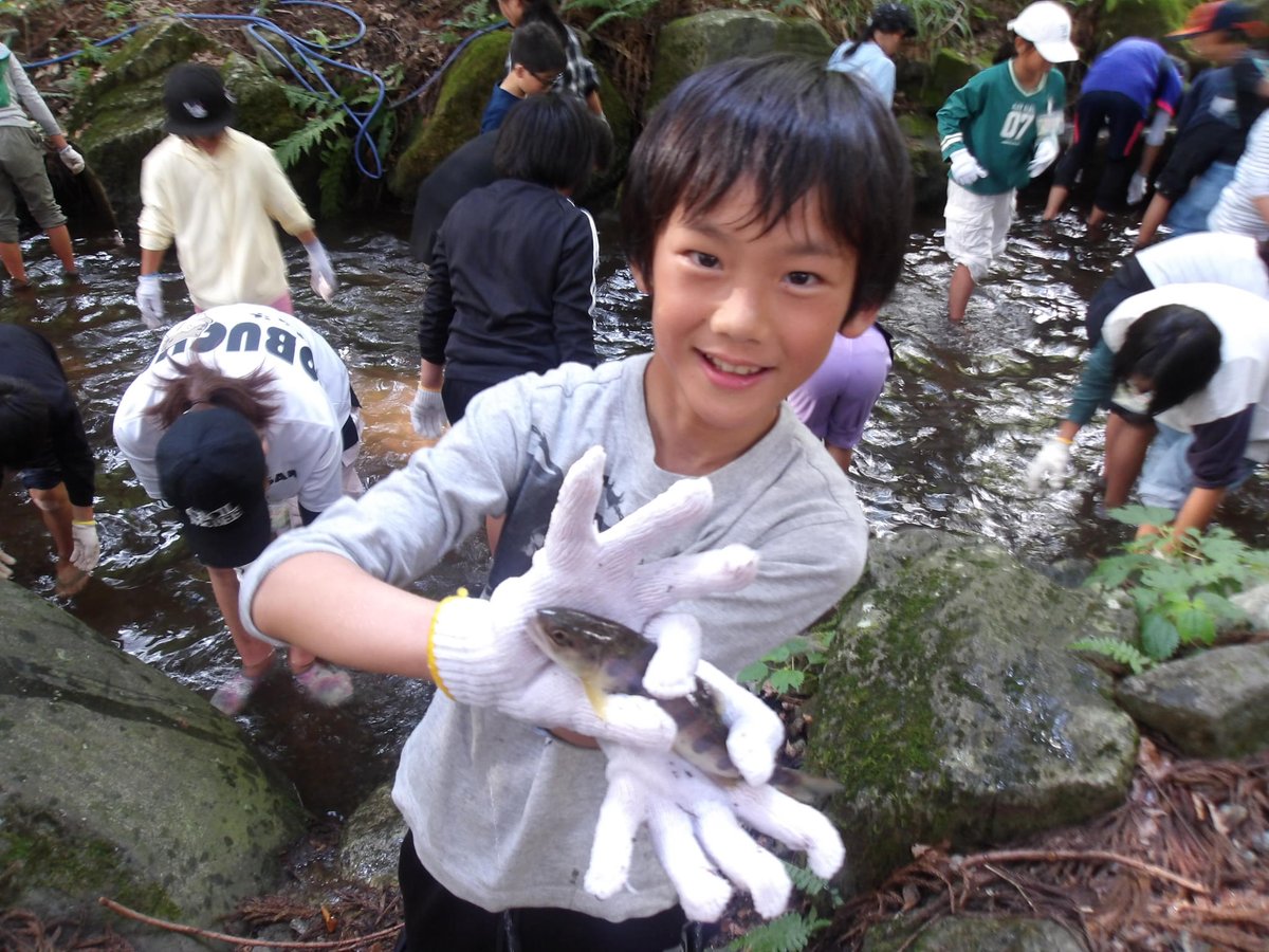 okuetsukogen's tweet photo. R8.7.30 サマーチャレンジ２０２６スペシャルが始まりました！今年も全国からたくさんの参加者が集まってくれました！１日目は魚つかみ、天体観望を行いました。上手にさばくことができたかな？#奥越高原青少年自然の家　#野外活動　#サマーチャレンジ　#宿泊体験 https://t.co/aer3KCDhRN