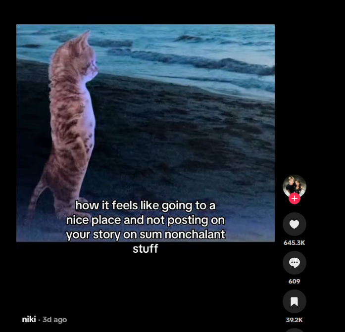 PupperFlips's tweet photo. i found a new trend. nonchalant

theres cats, horses, capybaras. why not just run "nonchalant" as a whole

https://t.co/7sba94YufV

https://t.co/2DzhbYaVnK

https://t.co/hQveF47vCP https://t.co/GHg1jObYNn