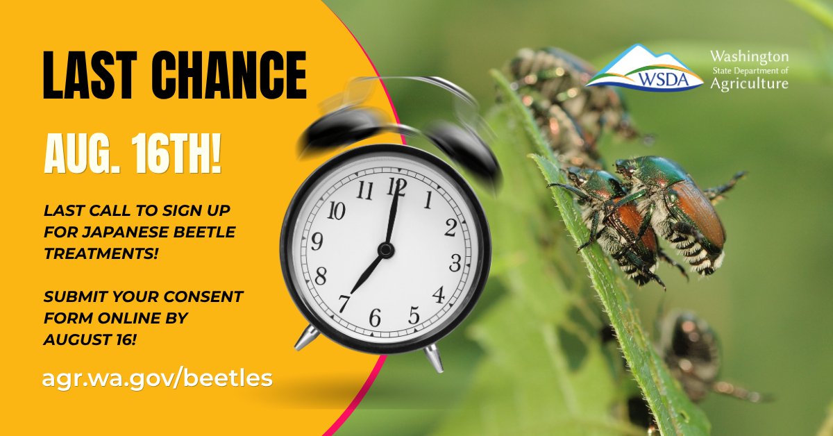WSDAgov's tweet photo. 📣 Last call! 📣 August 16 is the LAST DAY to sign up for Japanese beetle treatments! If you are in a treatment area and haven't signed up, please head to https://t.co/881LU89TRJ ASAP to sign up today! https://t.co/cgSTSR1XZy